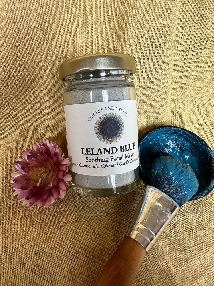 Circles and Cycles Leland Blue Face Mask