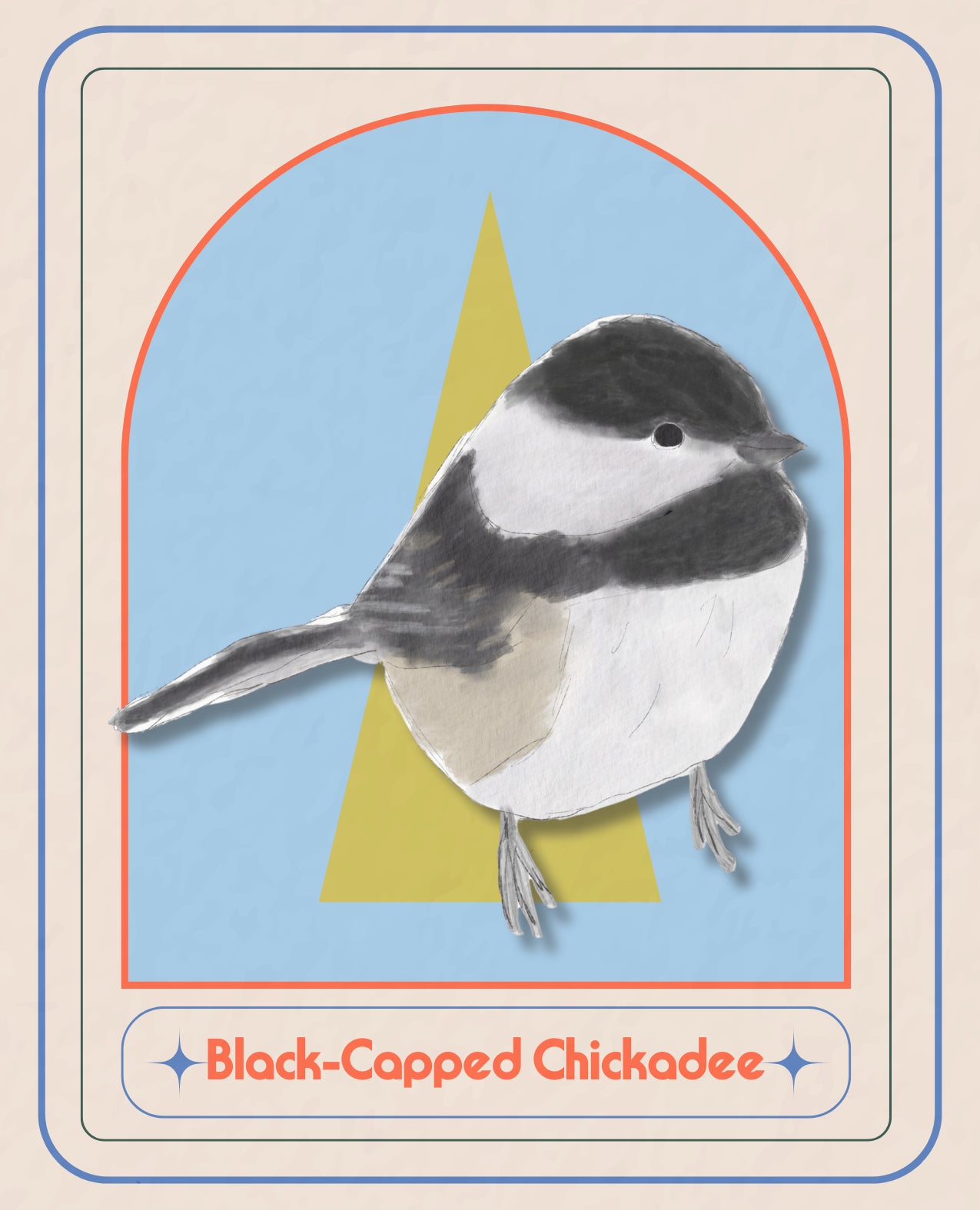 Field Day Adventures: Birds of the Midwest