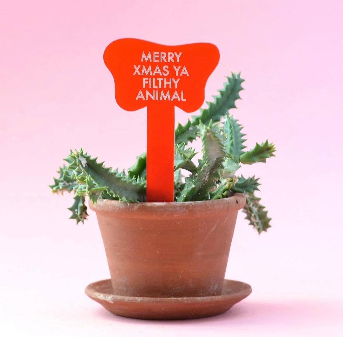 TUFF GIRL GANG PLANT MARKERS - Multiple Options