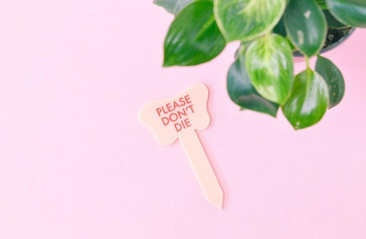 TUFF GIRL GANG PLANT MARKERS - Multiple Options
