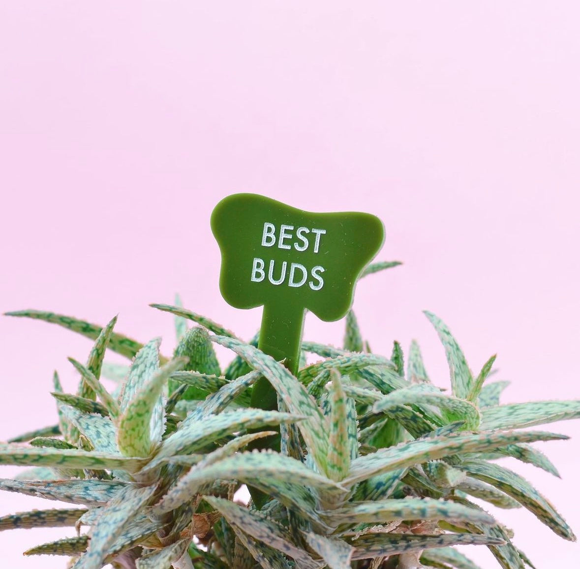 TUFF GIRL GANG PLANT MARKERS - Multiple Options
