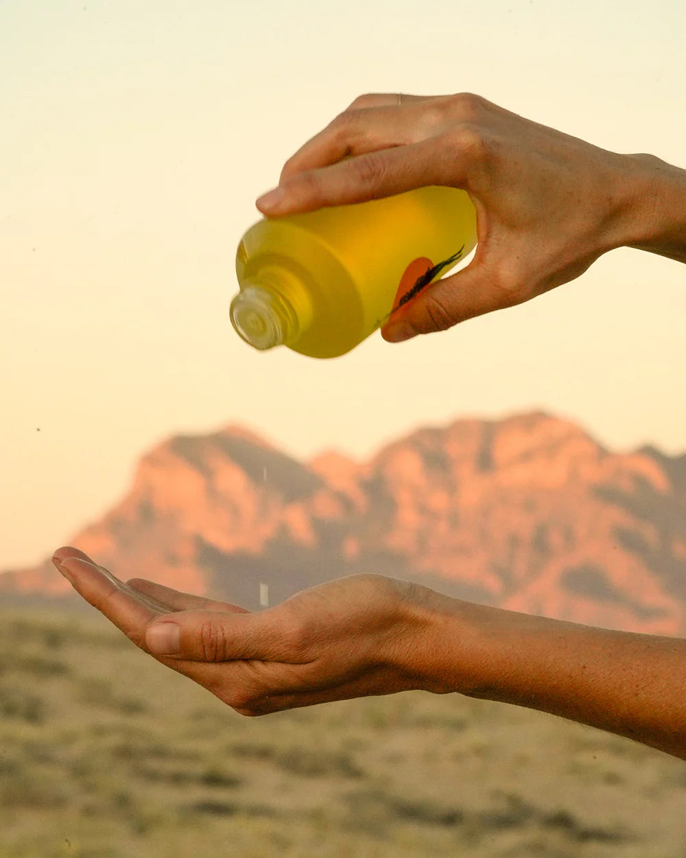 Wonder Valley Hinoki Body Oil