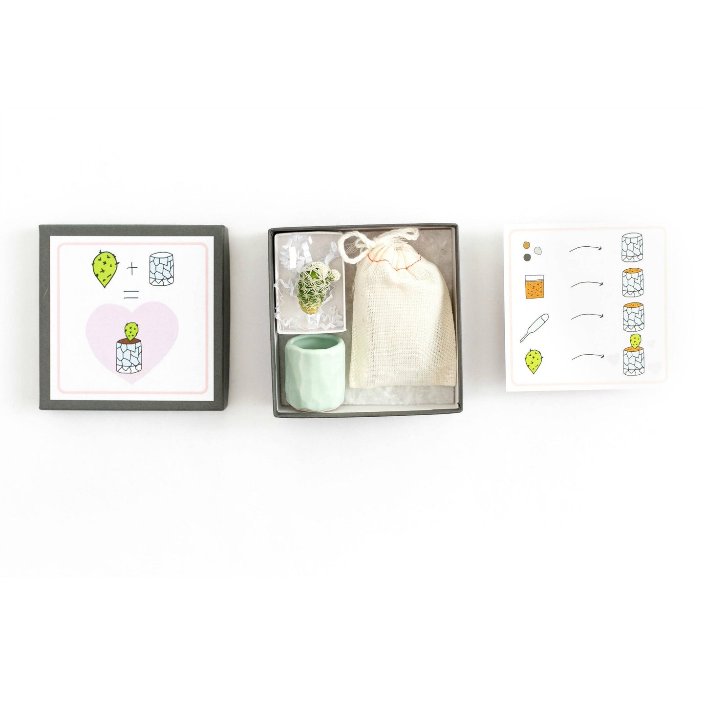 Spalted Home Mini Cactus Kit, Light Blue Vase