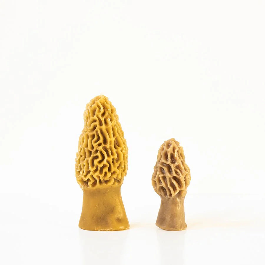 Happy Organics Beeswax Morel Mushroom Candles Set of 2 - Multiple Options