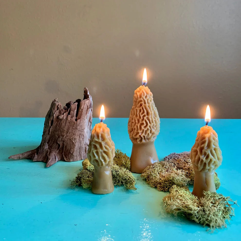 Happy Organics Beeswax Morel Mushroom Candles Set of 2 - Multiple Options