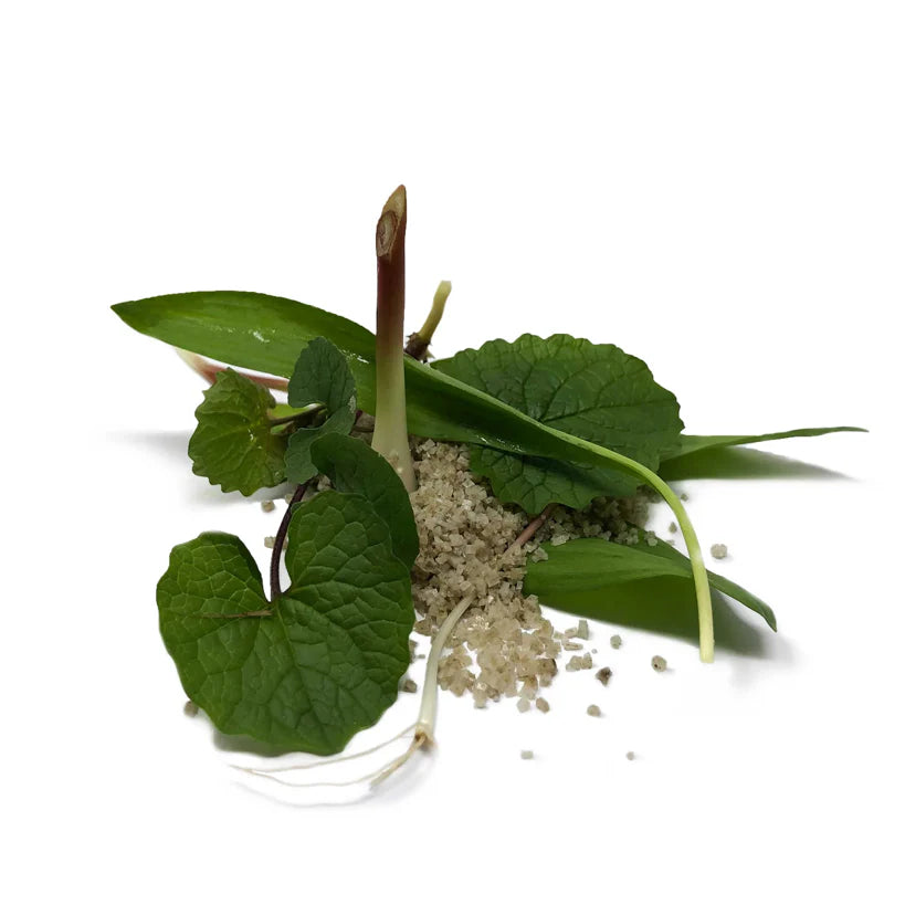Lindera Farms Fermented Ramp Salt