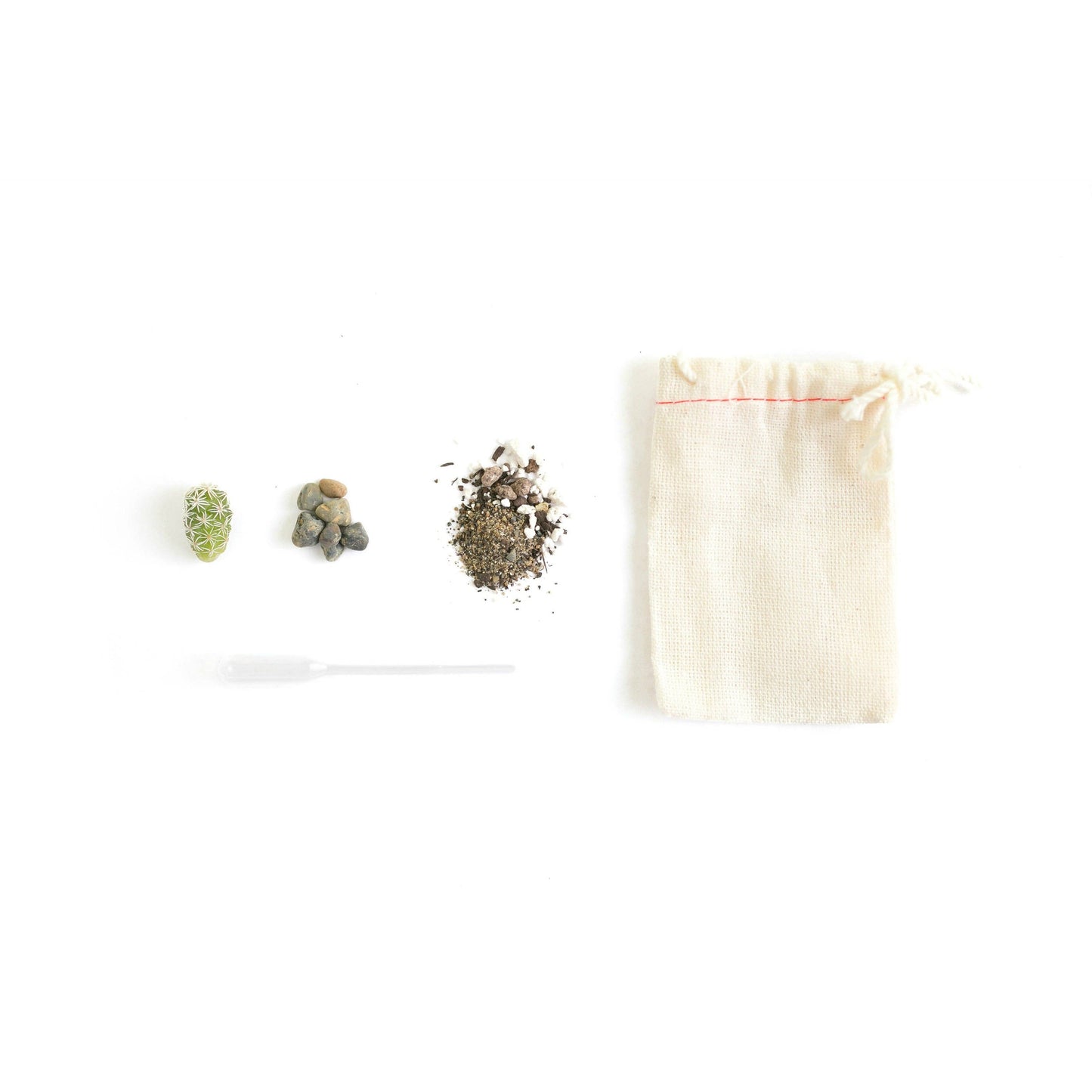 Spalted Home Mini Cactus Kit, Light Blue Vase