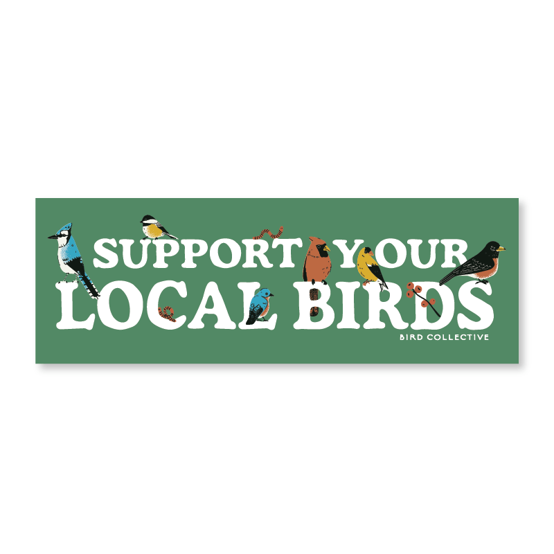 Bird Collective Backyard Birds Bumper Sticker