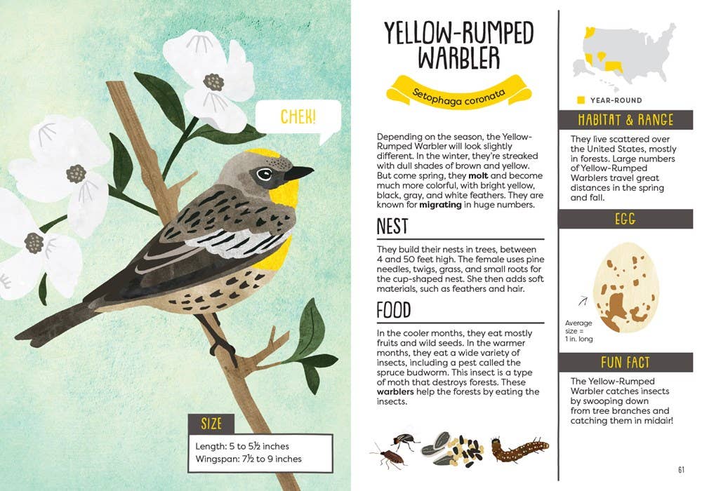 A Kid’s Guide to Backyard Birds by Eliza Berkowitz