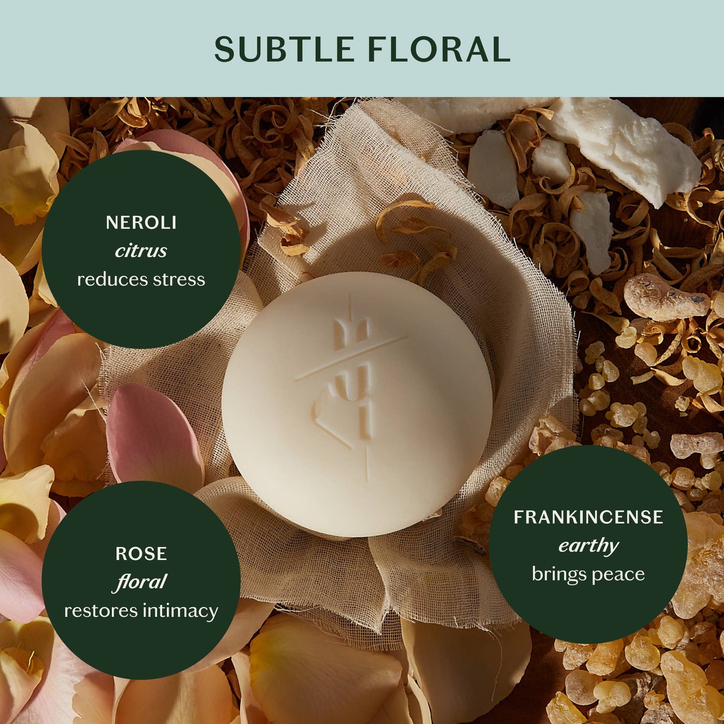 Kate McLeod Daily Stone | Deep Moisturizing Lotion Bar