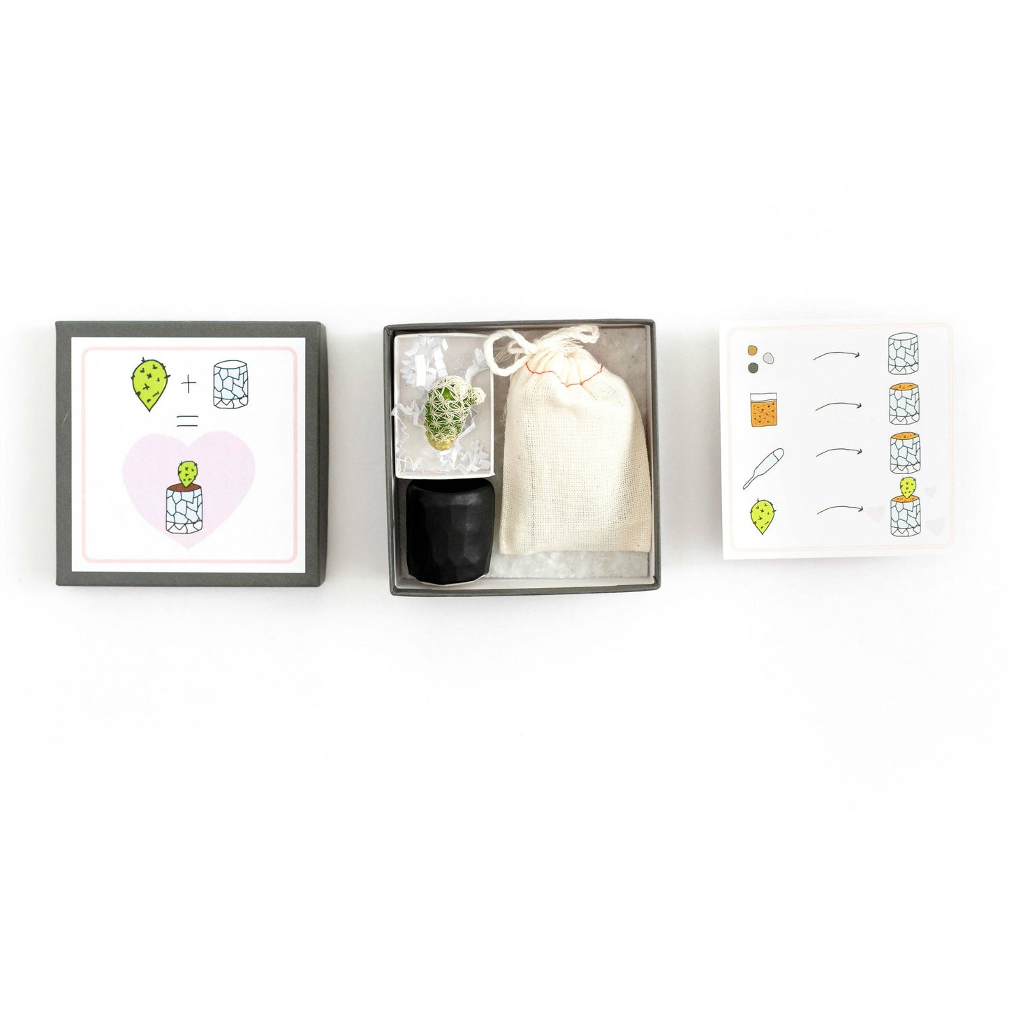 Spalted Home Mini Cactus Kit, Black Vase