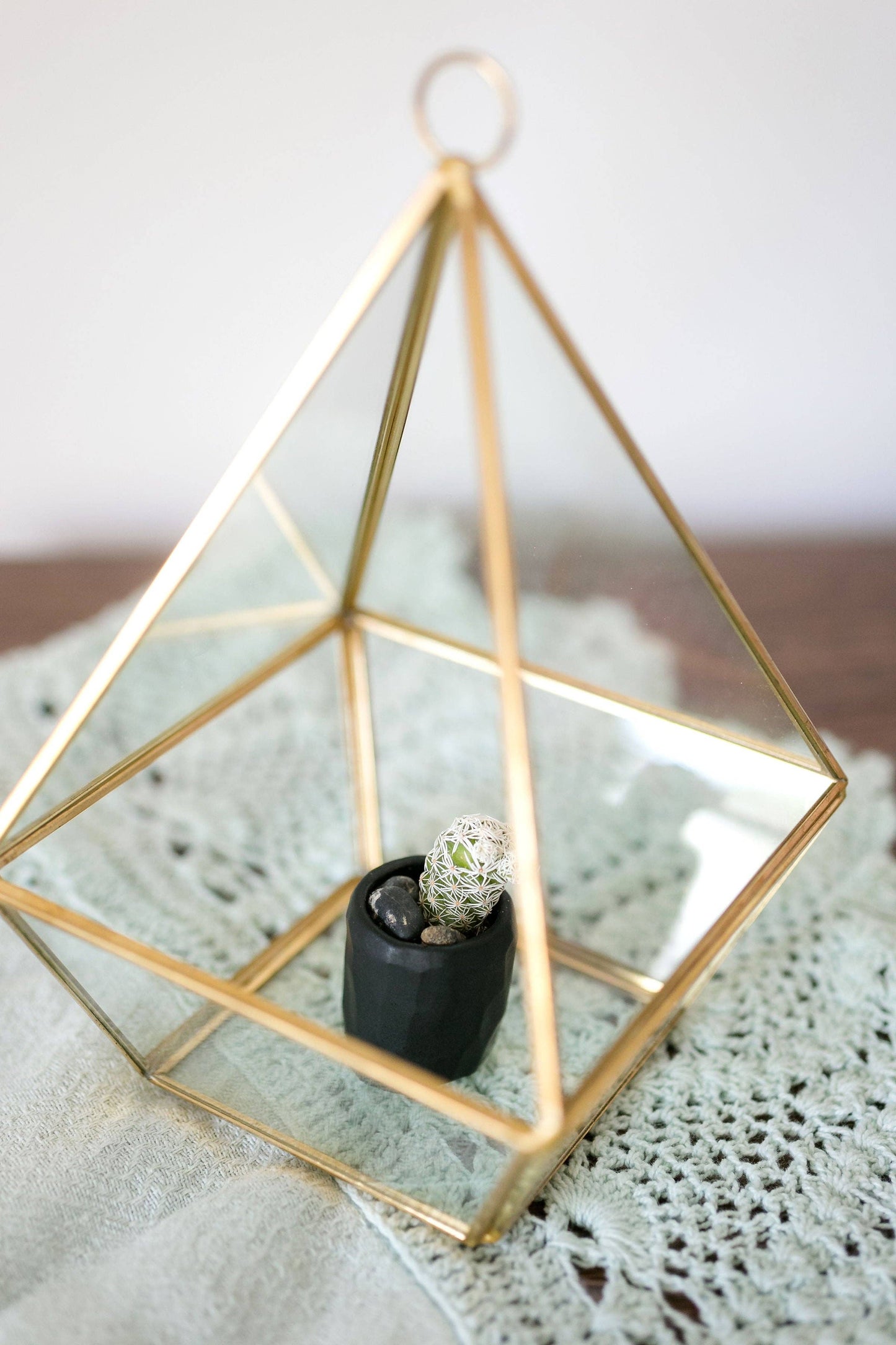Spalted Home Mini Cactus Kit, Black Vase
