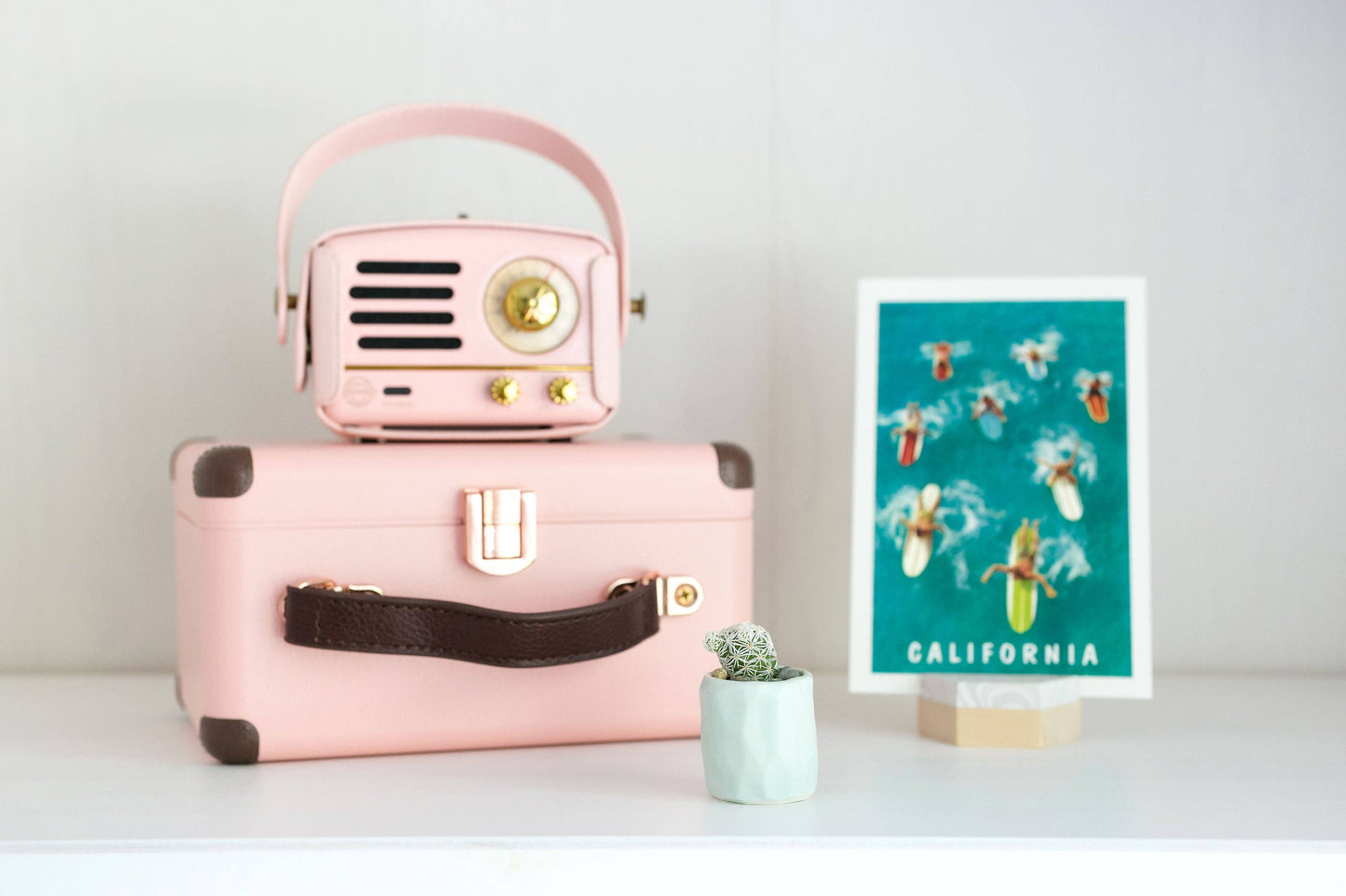 Spalted Home Mini Cactus Kit, Light Blue Vase