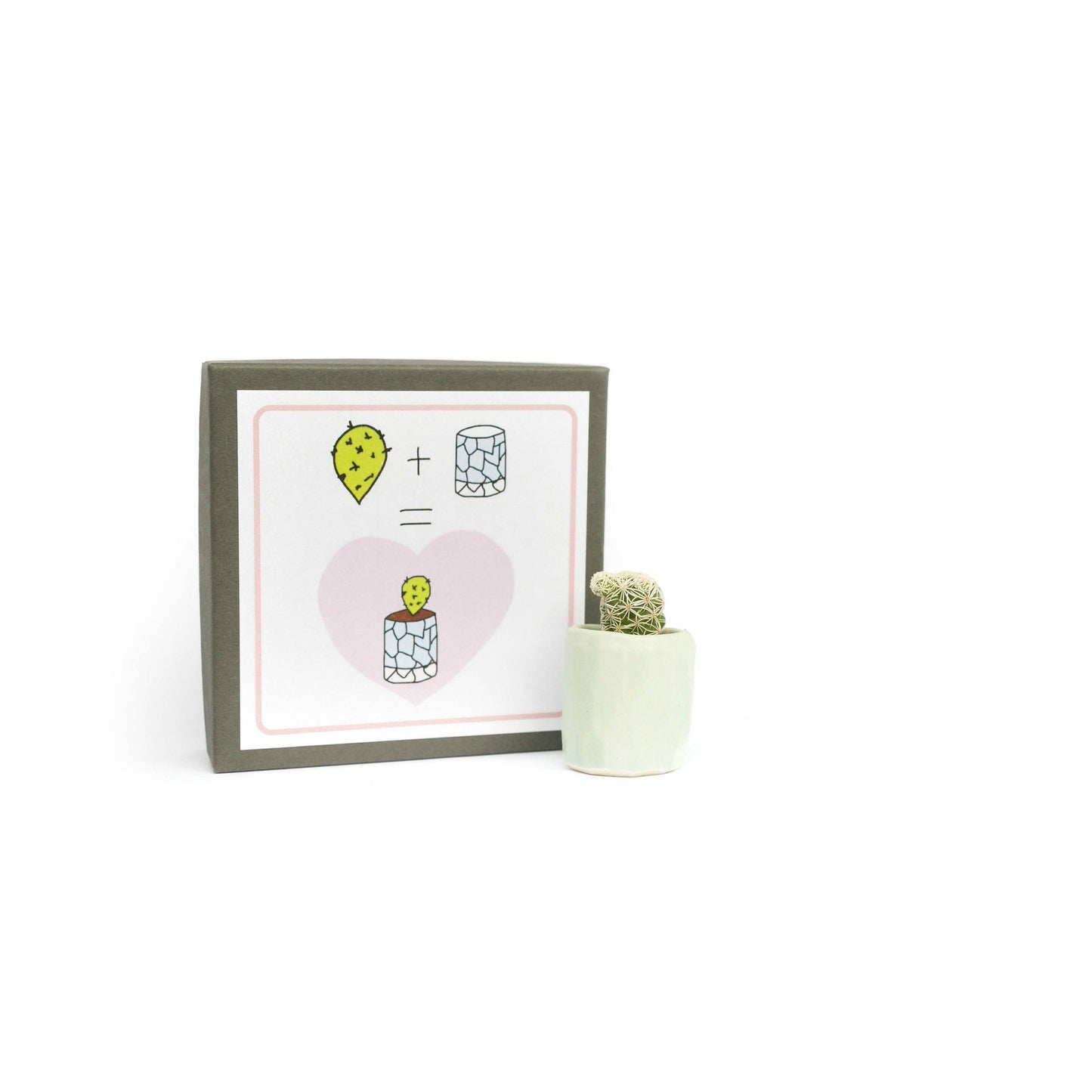 Spalted Home Mini Cactus Kit, Light Blue Vase