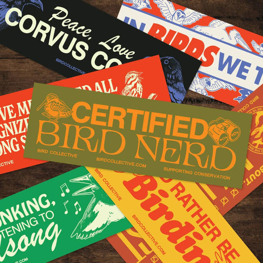 Bird Collective Bird Nerd Bumper Sticker
