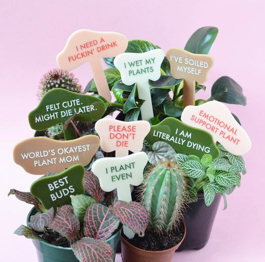 TUFF GIRL GANG PLANT MARKERS - Multiple Options