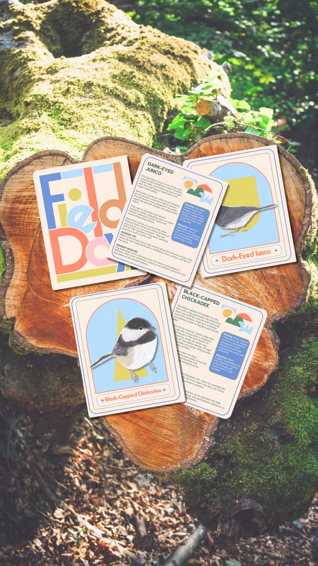 Field Day Adventures: Birds of the Midwest