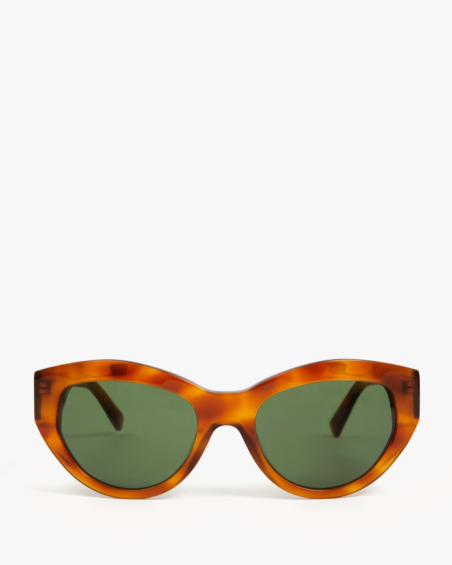 Havana Tortoise