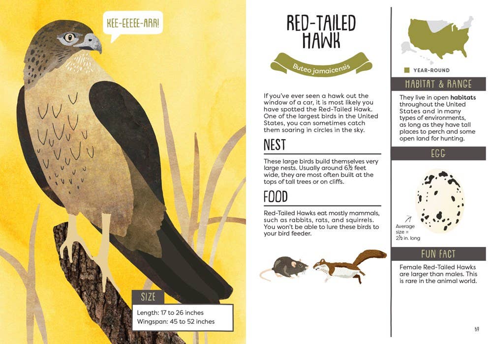 A Kid’s Guide to Backyard Birds by Eliza Berkowitz