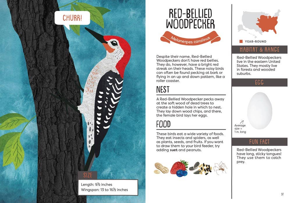 A Kid’s Guide to Backyard Birds by Eliza Berkowitz