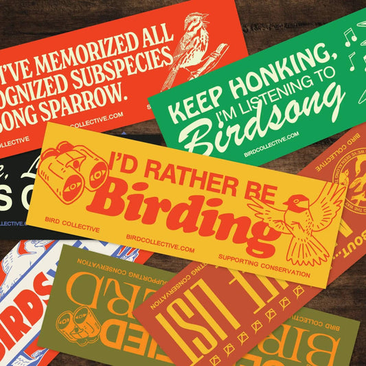 Bird Collective Rather Be Birding Bumper Sticker