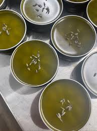 Circles and Cycles Root to Resin Repair Salve, 30ml