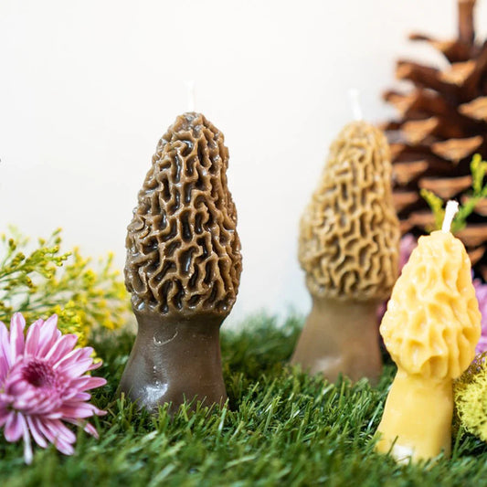 Happy Organics Beeswax Morel Mushroom Candles Set of 2 - Multiple Options